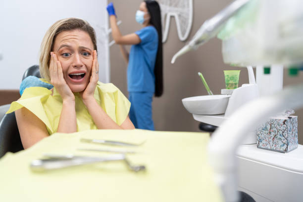 Best Emergency Dental Care for Trauma or Injury in Oquawka, IL